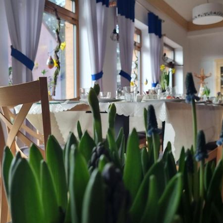 Zakatek Reja Daire Kartuzy Dış mekan fotoğraf